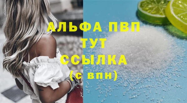 дмт Белокуриха