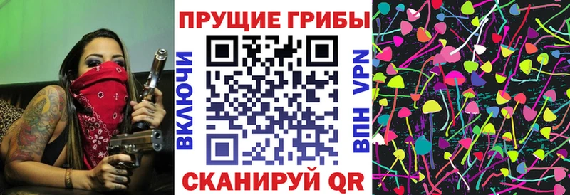 Псилоцибиновые грибы прущие грибы Лесосибирск